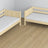 Holz-Etagenbett Kiefer farblos mit Schublade – Maße und Schema, Nizio